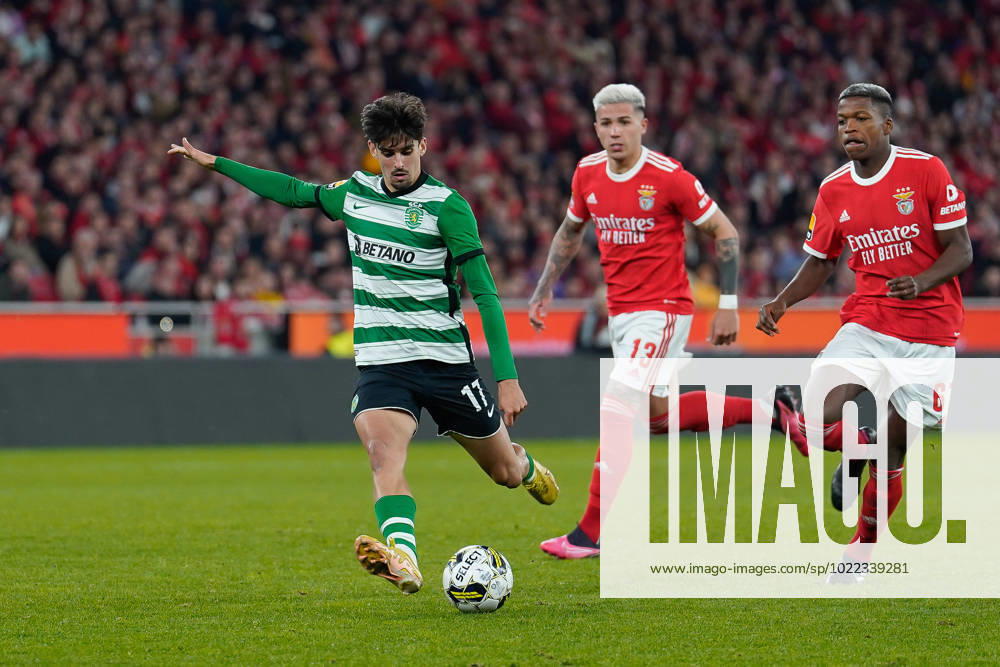 Francisco Trincao from Sporting CP (L), Enzo Fernandez from Benfica (C) and Florentino Luis from Benfica (R) in action during Liga Portugal BWIN football match between SL Benfica and Sporting CP at Estadio da Luz..Final score: SL Benfica 2:2 Sporting CP Lisbon Portugal - ZUMAs197 20230115_zaa_s197_176
