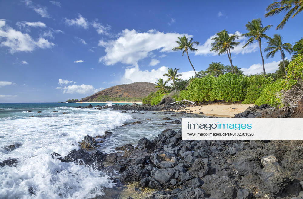 Coastline of Maui with rugged lava rock and palm trees, and a small remote beach; Kihei, Maui, Hawaii, United States of America