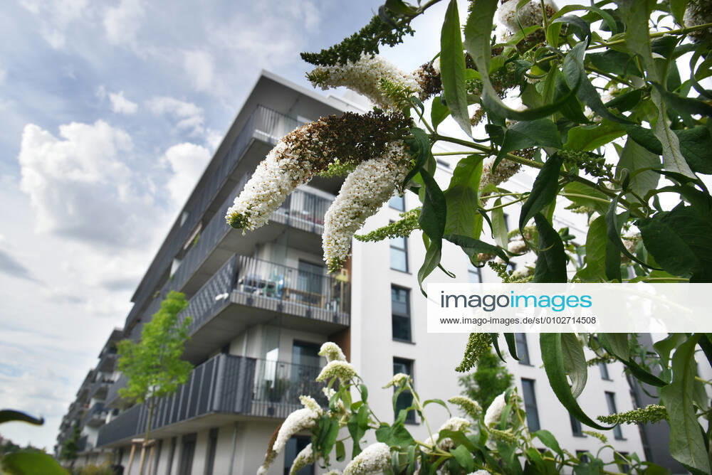 The new urban quarter on Bautzener Strasse in Berlin Schöneberg, started on 28 July 2020 Housing construction, housing market, real estate, rental apartments, condominiums, rent brake, rent cap, new construction, new buildings, Kiez Berlin, gentrification Berlin Germany