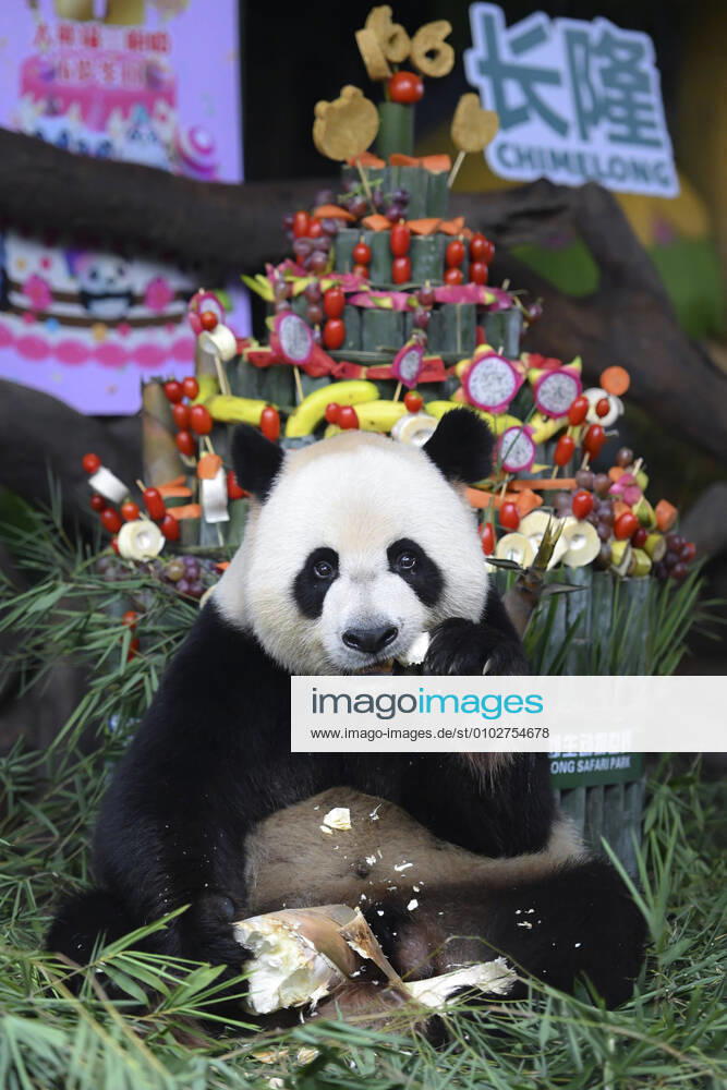 One of the triplet pandas is celebrating its 6th birthday in Guangzhou,Guangdong,China on 29th July, 2020. Guangzhou China - ZUMAt151 20200729_zia_t151_013