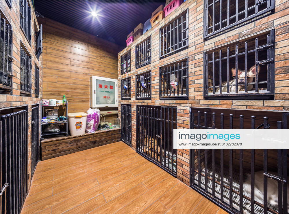 Interior design 544169822432395282