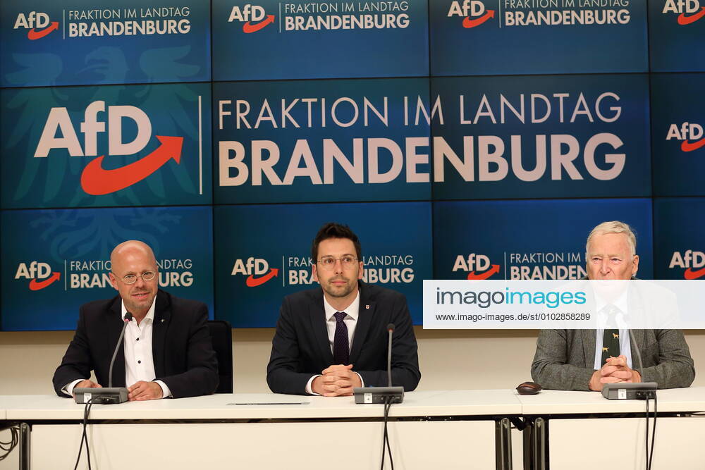 Andreas Kalbitz, former AfD State and faction leader, Dennis Hohloch AfD and Alexander Gauland AfD, from left, during a press conference on the results of a special session of the Landtag faction, after which Kalbitz will temporarily suspend his office as faction le