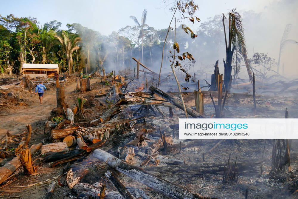 LÁBREA, AM - 07.08.2020: QUEIMADAS EM LÁBREA NO AMAZONAS - Deforested and burnt area in the municipality of Lábrea (AM), in the south of the Amazon, this Friday afternoon (7). x1947350x SandroxPereira