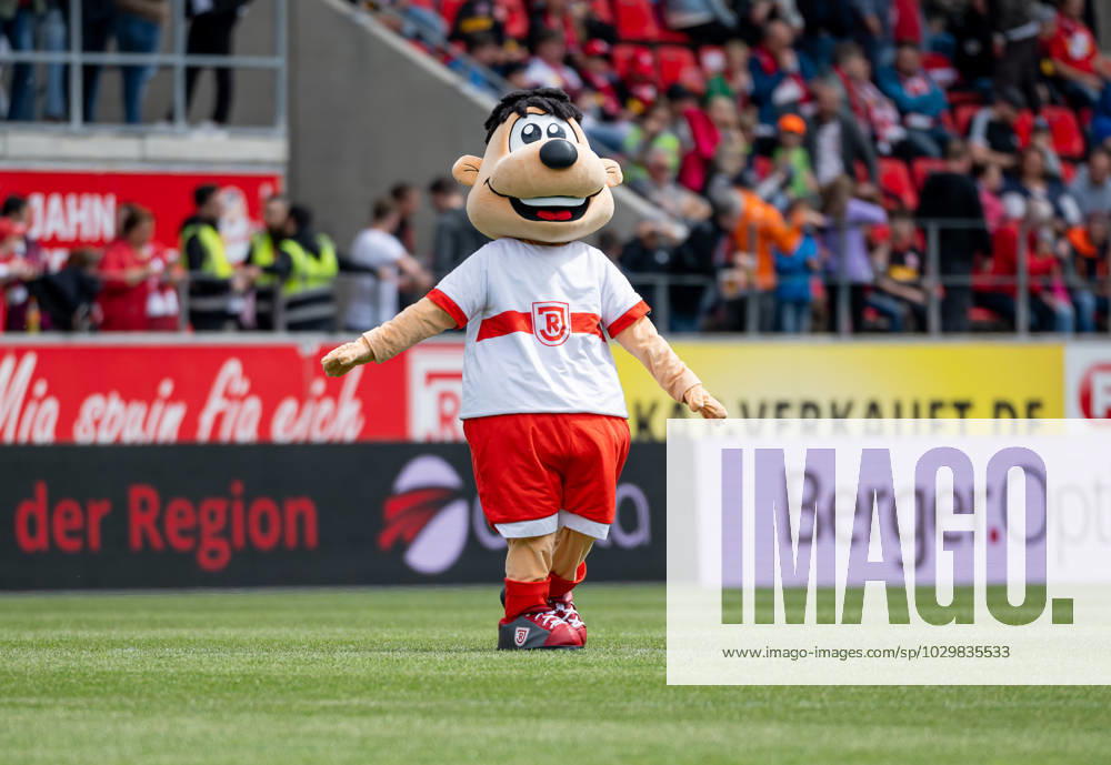 Jahni, the mascot of SSV Jahn Regensburg, provides break entertainment SSV Jahn Regensburg vs Hamburger SV, Football, 2 Bundesliga, 32 Matchday, Season 2022 2023, 14 05 2023 SSV Jahn Regensburg vs Hamburger SV, Football, 2 Bundesliga, 32 Matchday, Season 2022 2023, 14 05 2023 Regensburg
