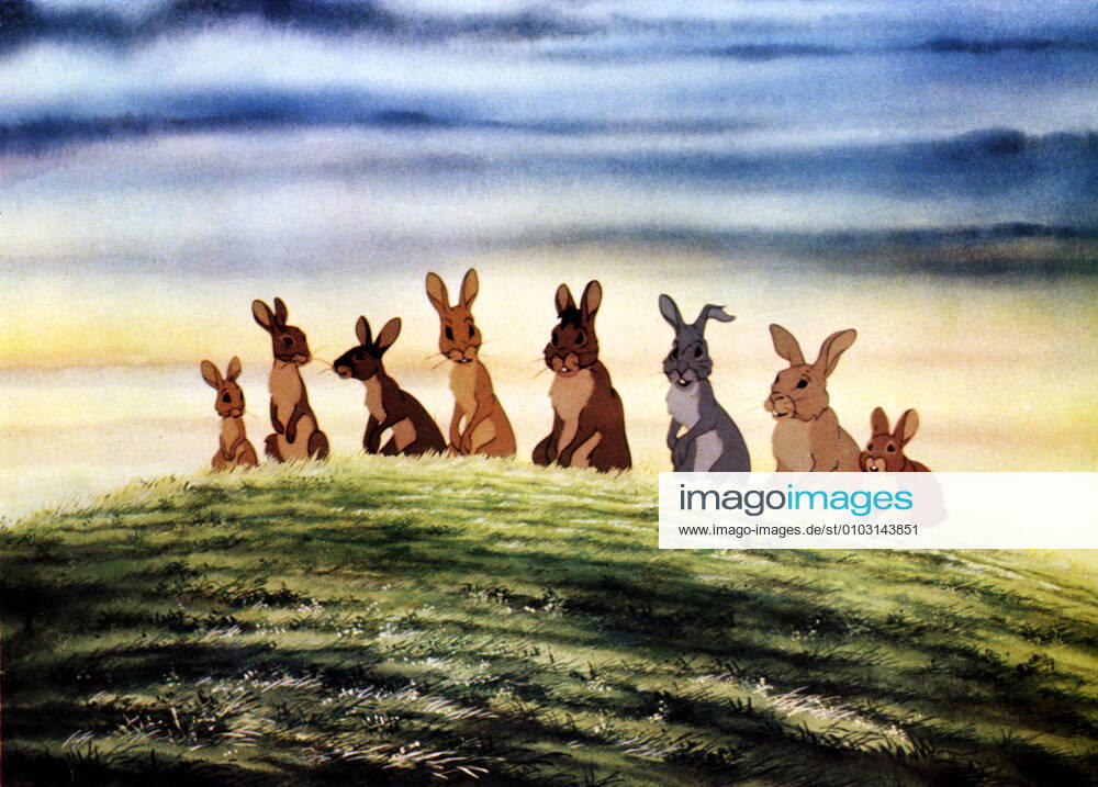 WATERSHIP DOWN NEPENTHE PROD Date: 1978. Strictly editorial use only in conjunction with the promotion of the film. Credit line mandatory. This image is copyright of the film company and is supplied under the terms of issue as film still. No commercial or book cover use permitted without prior consent from the film company. Mandatory credit line: Image courtesy Ronald Grant Archive Mary Evans