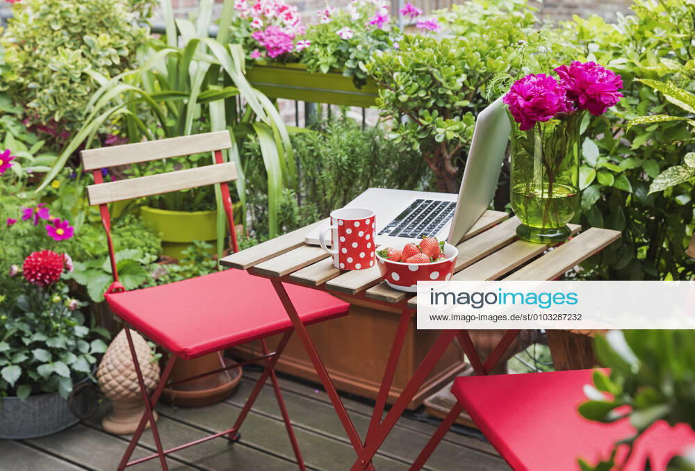 Laptop lying on balcony table surrounded by various summer herbs and flowers property released GWF06616