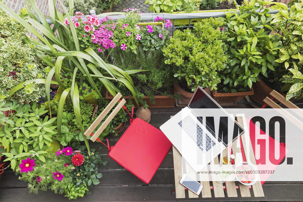 Laptop lying on balcony table surrounded by various summer herbs and flowers property released GWF06619
