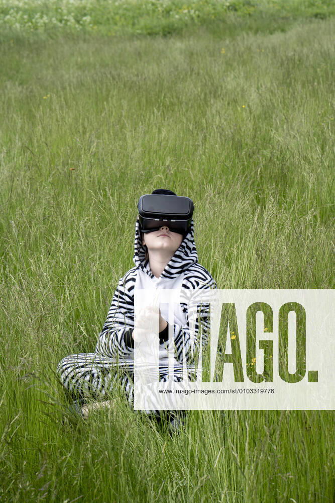 Boy in zebra costume using VR simulator while sitting on grass model released Symbolfoto VPIF02652