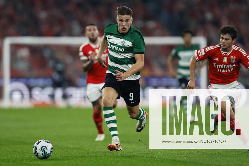 Viktor Gyokeres (SportingCP), NOVEMBER 12, 2023 - Football Soccer : Portugal Primeira Liga match between SL Benfica 2-1 Sporting Clube de Portugal at the Estadio da Luz in Lisbon, Portugal. Noxthirdxpartyxsales (235928395)