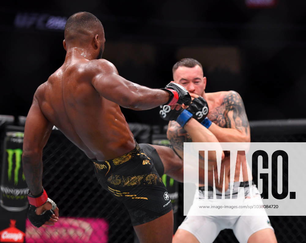 LEON EDWARDS (21-3-0) of Erdington, birmingham, England (L) defeats COLBY COVINGTON (17-3-0) of Miami, Florida USA (R) by a unanimous decision (49-46, 49-46, 49-46) during UFC 296 at T-Mobile Arena, Las Vegas Las Vegas USA - ZUMAo117 20231216_zsp_o117_044