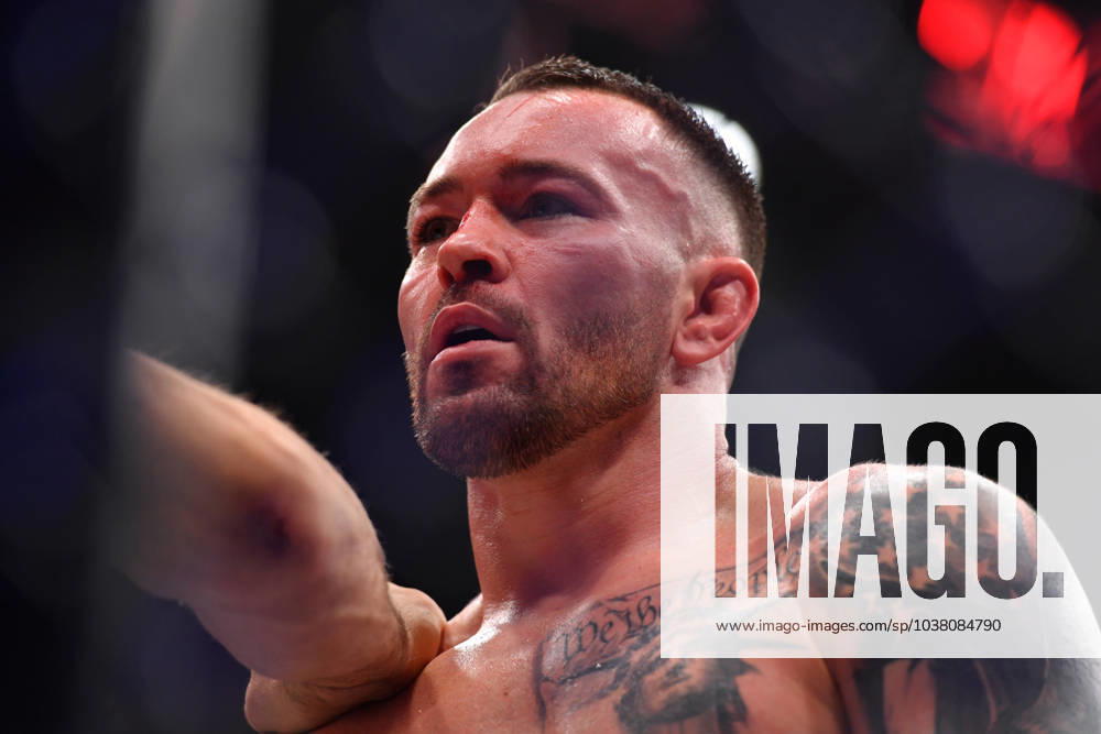 LEON EDWARDS (21-3-0) of Erdington, birmingham, England defeats COLBY COVINGTON (17-3-0) of Miami, Florida USA by a unanimous decision (49-46, 49-46, 49-46) during UFC 296 at T-Mobile Arena, Las Vegas Las Vegas USA - ZUMAo117 20231216_zsp_o117_050