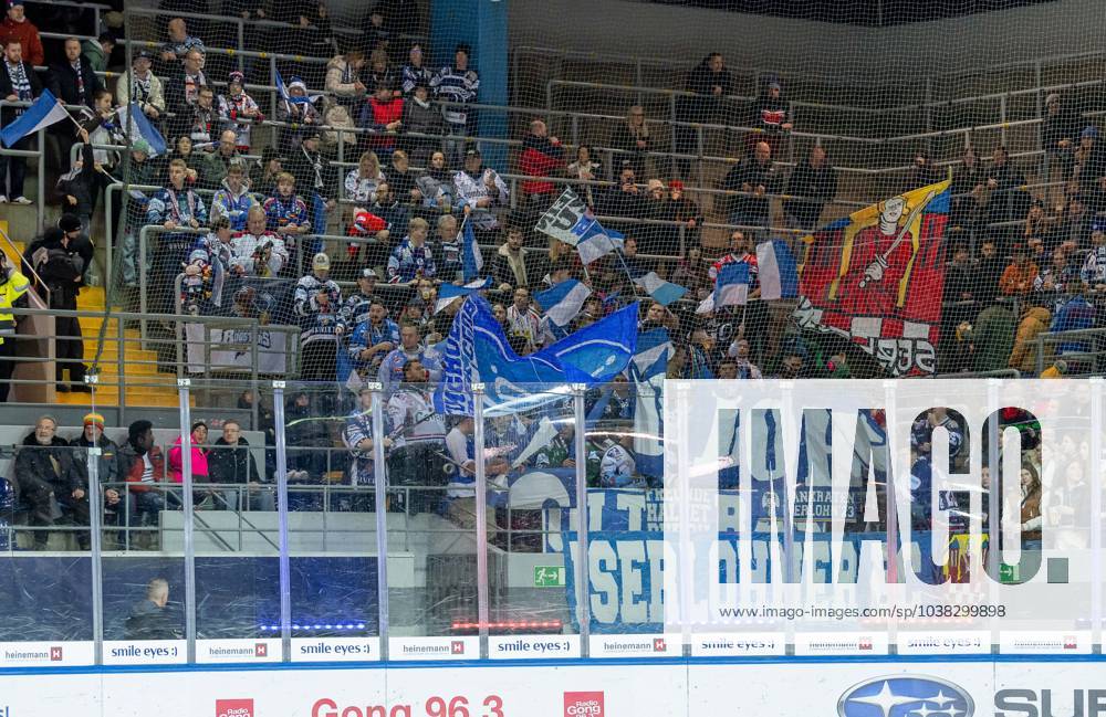 The fans from the Sauerland EHC Red Bull Muenchen against Iserlohn Roosters, Ice Hockey, DEL, Matchday 30, Season 2023 2024, 23 12 2023 EHC Red Bull Muenchen against Iserlohn Roosters, Ice Hockey, DEL, Matchday 30, Season 2023 2024, 23 12 2023 Muenchen