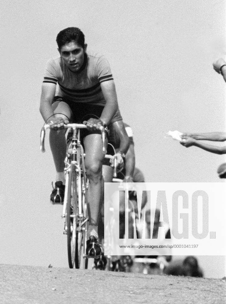 Eddy Merckx (Belgien) Radsport Herren Straßenradsport 1969, Straße, Rad, Vneg, Vsw Einzelbild