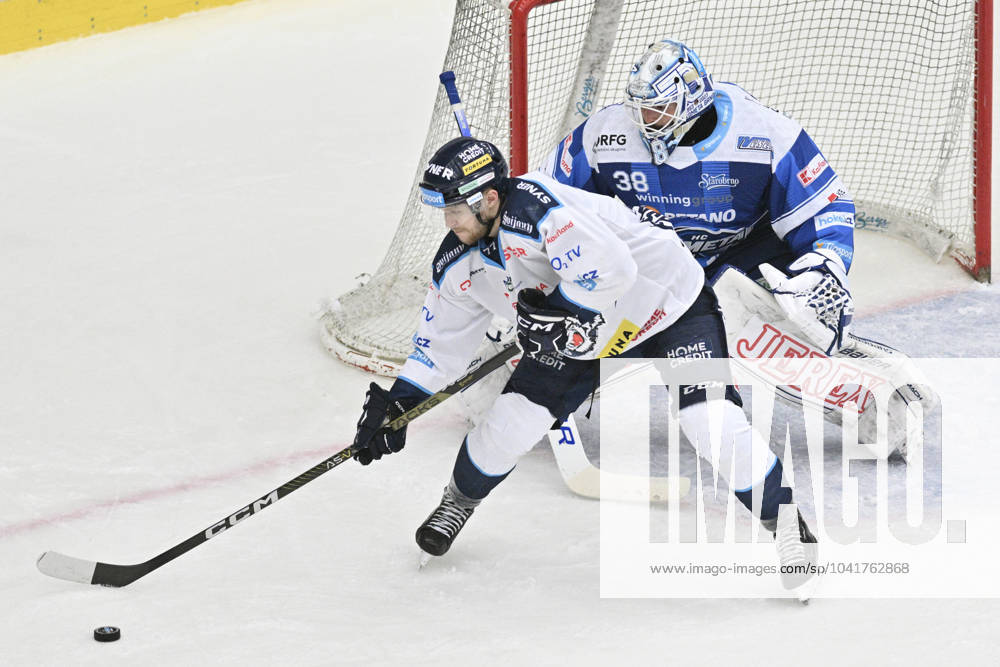 Utkani 51. kola hokejove extraligy: Bili Tygri Liberec - HC Kometa Brno, 1. brezna 2024, Liberec. Zleva Martin Fasko-Rudas z Liberce a brankar Dominik Furch z Brna. (CTKxPhoto RadekxPetrasek) CTKPhotoP2024030109085 CTKPhotoP2024030109085