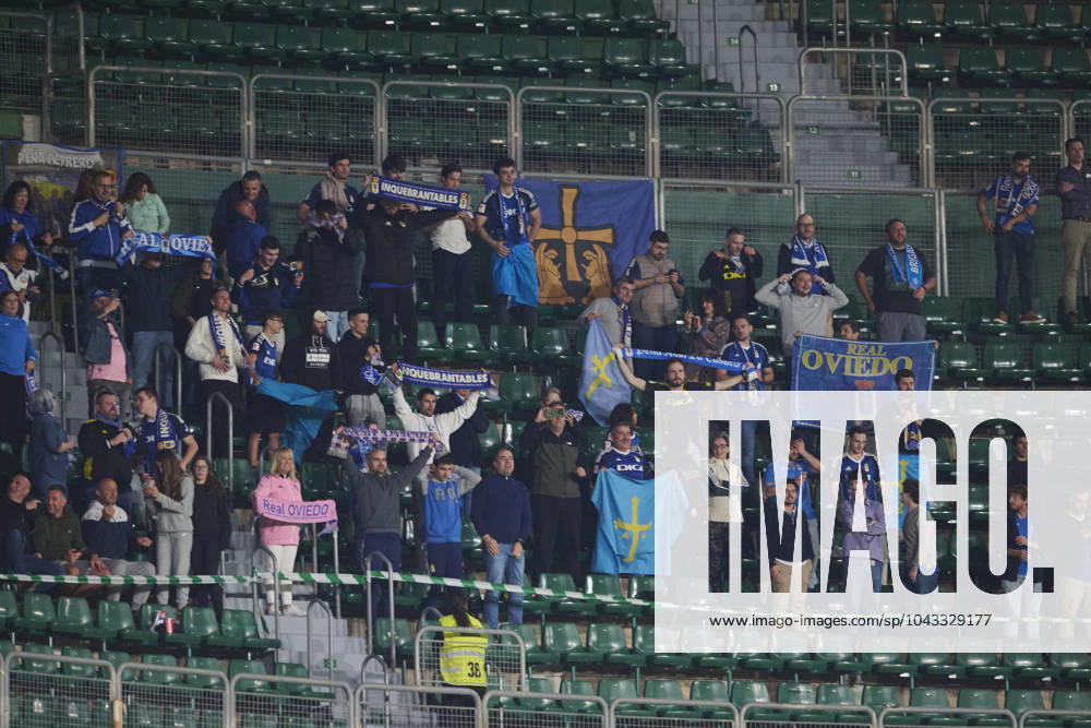 LaLiga Hypermotion, Elche CF v Real Oviedo ELCHE, SPAIN - APRIL 5: Fans of Real Oviedo celebrates a victory after the LaLiga Hypermotion match between Elche CF and Real Oviedo at Manuel Martinez Valero Stadium, on April 5, 2024 in Elche, Spain. (Photo By Francisco Macia Photo Players Images) Elche Estadio Manuel Martinez Valero Alicante Spain