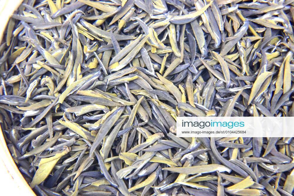 Green tea Mingqian tea 752963189305638915