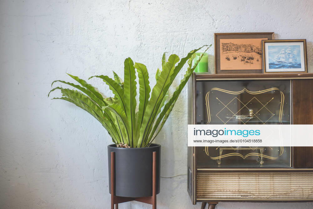 Interior design 762611412429176858