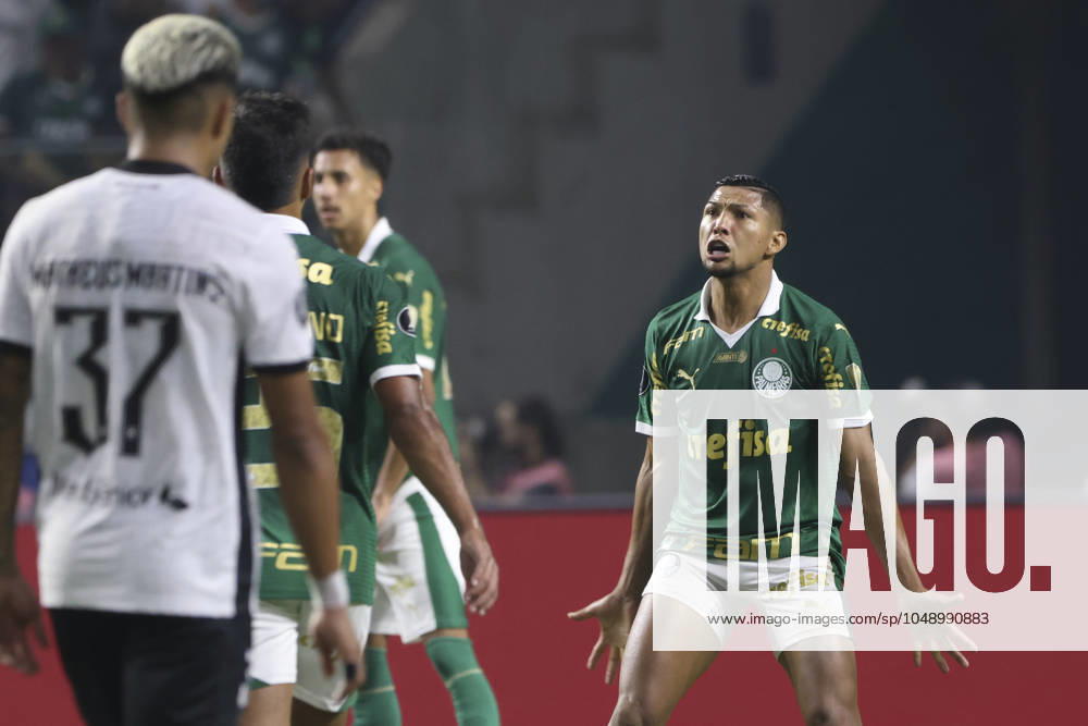 Match between Palmeiras and Botafogo for the Conmebol Libertadores 2024 Sao Paulo (SP), 08 21 2024 - LIBERTADORES PALMEIRAS X BOTAFOGO - Palmeiras player Rony scores and celebrates his goal in a match between Palmeiras and Botafogo, valid for the second leg of the round of 16 of the Copa Conmebol Libertadores, on the night of this Wednesday, August 21, 2024, at Allianz Parque, in Sao Paulo-SP. (Foto: Leco Viana Thenews2 imago images) SPO