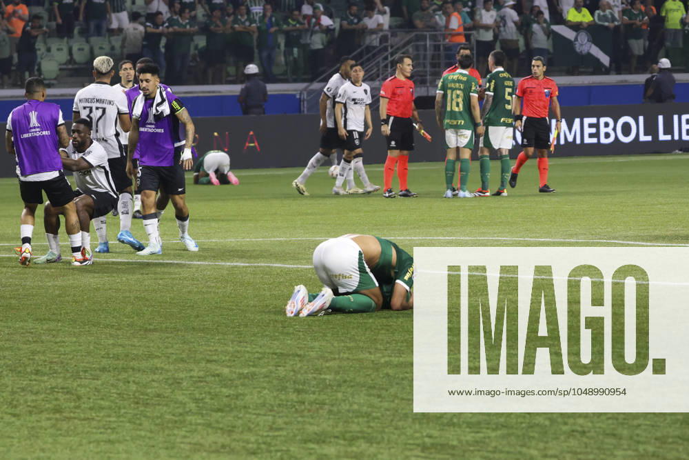 Match between Palmeiras and Botafogo for the Conmebol Libertadores 2024 Sao Paulo (SP), 08 21 2024 - LIBERTADORES PALMEIRAS X BOTAFOGO - Botafogo celebrates qualifying in a match between Palmeiras and Botafogo, valid for the second leg of the round of 16 of the Copa Conmebol Libertadores, on the evening of this Wednesday, August 21, 2024, at Allianz Parque, in Sao Paulo-SP. (Foto: Leco Viana Thenews2 imago images) SPO