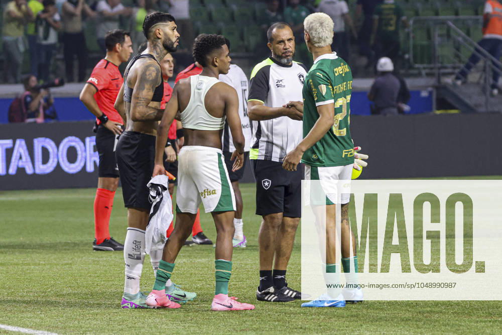 Match between Palmeiras and Botafogo for the Conmebol Libertadores 2024 Sao Paulo (SP), 08 21 2024 - LIBERTADORES PALMEIRAS X BOTAFOGO - Botafogo celebrates qualifying in a match between Palmeiras and Botafogo, valid for the second leg of the round of 16 of the Copa Conmebol Libertadores, on the evening of this Wednesday, August 21, 2024, at Allianz Parque, in Sao Paulo-SP. (Foto: Leco Viana Thenews2 imago images) SPO