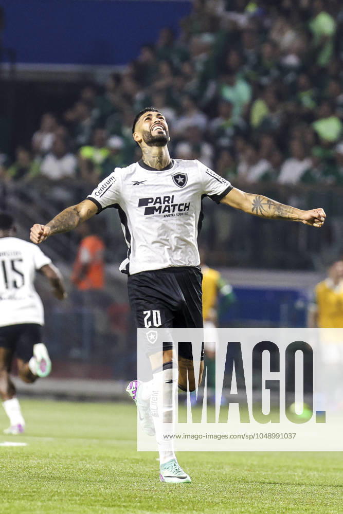 Match between Palmeiras and Botafogo for the Conmebol Libertadores 2024 Sao Paulo (SP), 08 21 2024 - LIBERTADORES PALMEIRAS X BOTAFOGO - Player Alexander Barboza, during the match between Palmeiras and Botafogo, valid for the second leg of the round of 16 of the Copa Conmebol Libertadores, on the night of this Wednesday, August 21, 2024, at Allianz Parque, in Sao Paulo-SP. (Foto: Pedro Paulo Diaz Thenews2 imago images) SPO