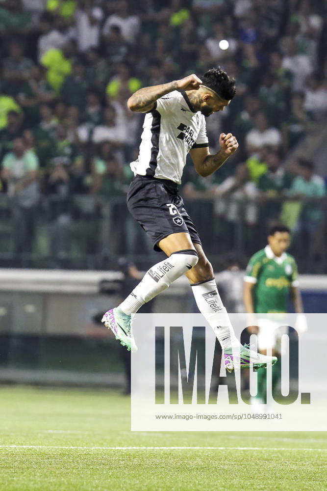 Match between Palmeiras and Botafogo for the Conmebol Libertadores 2024 Sao Paulo (SP), 08 21 2024 - LIBERTADORES PALMEIRAS X BOTAFOGO - Player Alexander Barboza, during the match between Palmeiras and Botafogo, valid for the second leg of the round of 16 of the Copa Conmebol Libertadores, on the night of this Wednesday, August 21, 2024, at Allianz Parque, in Sao Paulo-SP. (Foto: Pedro Paulo Diaz Thenews2 imago images) SPO
