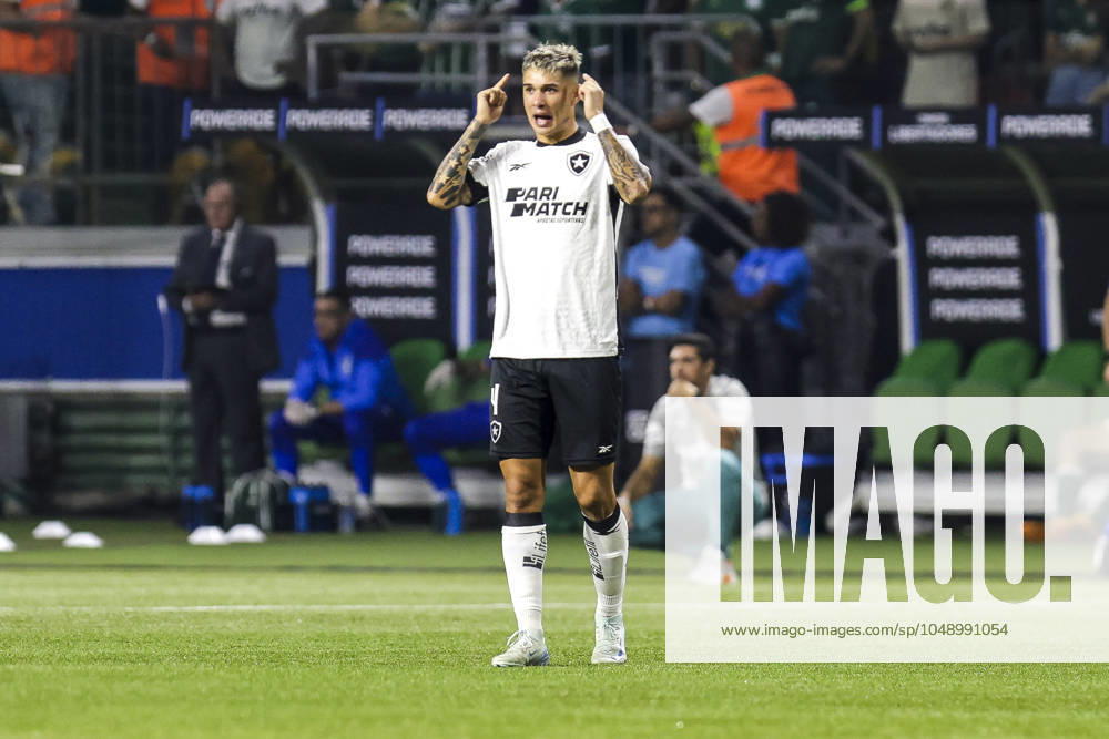Match between Palmeiras and Botafogo for the Conmebol Libertadores 2024 Sao Paulo (SP), 08 21 2024 - LIBERTADORES PALMEIRAS X BOTAFOGO - Shot during the match between Palmeiras and Botafogo, valid for the second leg of the round of 16 of the Copa Conmebol Libertadores, on the evening of this Wednesday, August 21, 2024, at Allianz Parque, in Sao Paulo-SP. (Foto: Pedro Paulo Diaz Thenews2 imago images) SPO