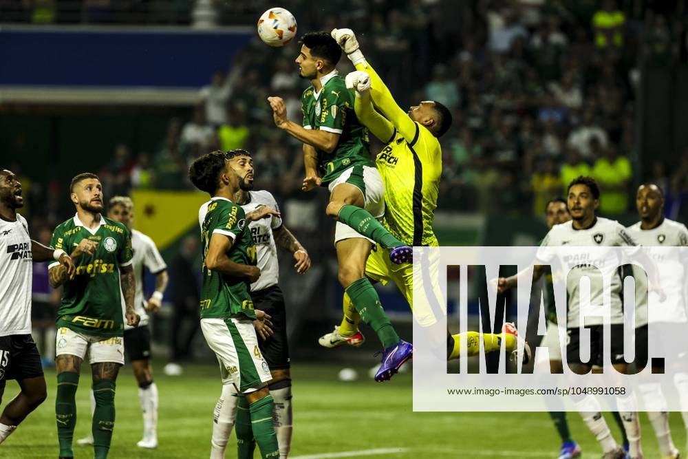 Match between Palmeiras and Botafogo for the Conmebol Libertadores 2024 Sao Paulo (SP), 08 21 2024 - LIBERTADORES PALMEIRAS X BOTAFOGO - Shot during the match between Palmeiras and Botafogo, valid for the second leg of the round of 16 of the Copa Conmebol Libertadores, on the evening of this Wednesday, August 21, 2024, at Allianz Parque, in Sao Paulo-SP. (Foto: Pedro Paulo Diaz Thenews2 imago images) SPO