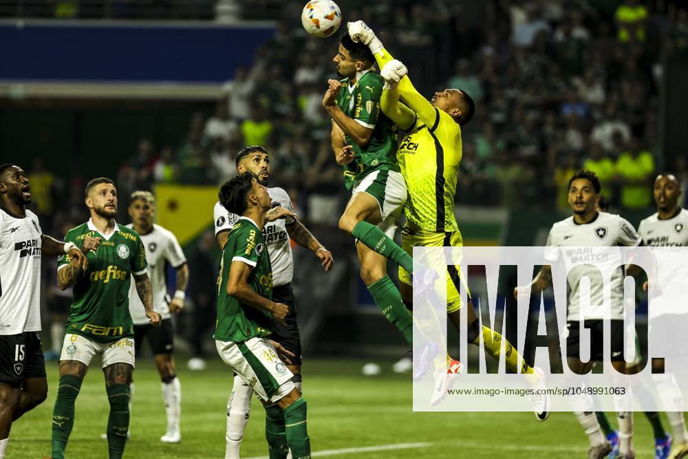 Match between Palmeiras and Botafogo for the Conmebol Libertadores 2024 Sao Paulo (SP), 08 21 2024 - LIBERTADORES PALMEIRAS X BOTAFOGO - Shot during the match between Palmeiras and Botafogo, valid for the second leg of the round of 16 of the Copa Conmebol Libertadores, on the evening of this Wednesday, August 21, 2024, at Allianz Parque, in Sao Paulo-SP. (Foto: Pedro Paulo Diaz Thenews2 imago images) SPO