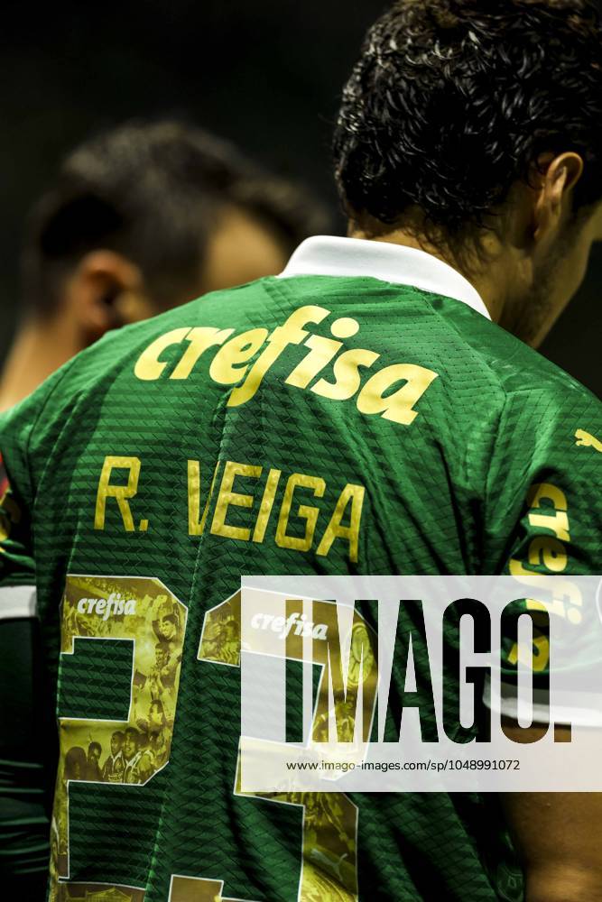 Match between Palmeiras and Botafogo for the Conmebol Libertadores 2024 Sao Paulo (SP), 08 21 2024 - LIBERTADORES PALMEIRAS X BOTAFOGO - Player Raphael Veiga, during the match between Palmeiras and Botafogo, valid for the second leg of the round of 16 of the Copa Conmebol Libertadores, on the night of this Wednesday, August 21, 2024, at Allianz Parque, in Sao Paulo-SP. (Foto: Pedro Paulo Diaz Thenews2 imago images) SPO