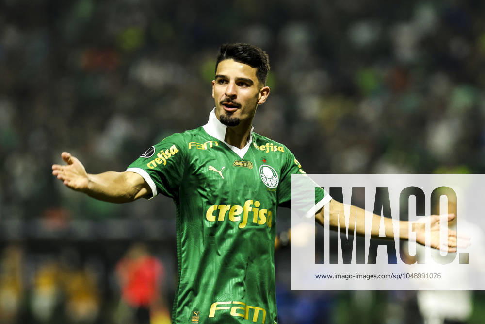 Match between Palmeiras and Botafogo for the Conmebol Libertadores 2024 Sao Paulo (SP), 08 21 2024 - LIBERTADORES PALMEIRAS X BOTAFOGO - Player Flaco Lopez celebrates his goal, during the match between Palmeiras and Botafogo, valid for the second leg of the round of 16 of the Copa Conmebol Libertadores, on the night of this Wednesday, August 21, 2024, at Allianz Parque, in Sao Paulo-SP. (Foto: Pedro Paulo Diaz Thenews2 imago images) SPO