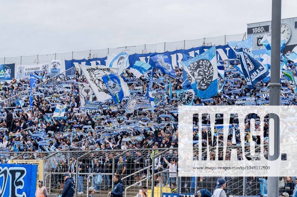 The Lowenfans in the Westkurve await the kick-off GER, TSV 1860 Muenchen vs FC Viktoria Koeln 1904, Football, 3 Bundesliga, Matchday 3, Season 2024 2025 with a scarf parade, 25 08 2024 GER, TSV 1860 Muenchen vs FC Viktoria Koeln 1904, Football, 3 Bundesliga, Matchday 3, Season 2024 2025, 25 08 2024 Muenchen