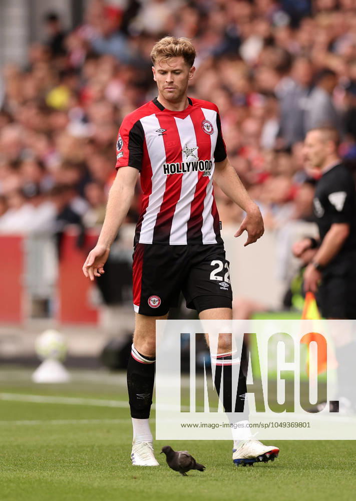 London, England, 31st August 2024. Brentford s Nathan Collins tries to get a pigeon off the pitch during the Premier League match at Gtech Community Stadium, London. Picture credit should read: David Klein Sportimage . SPI-3288-0020