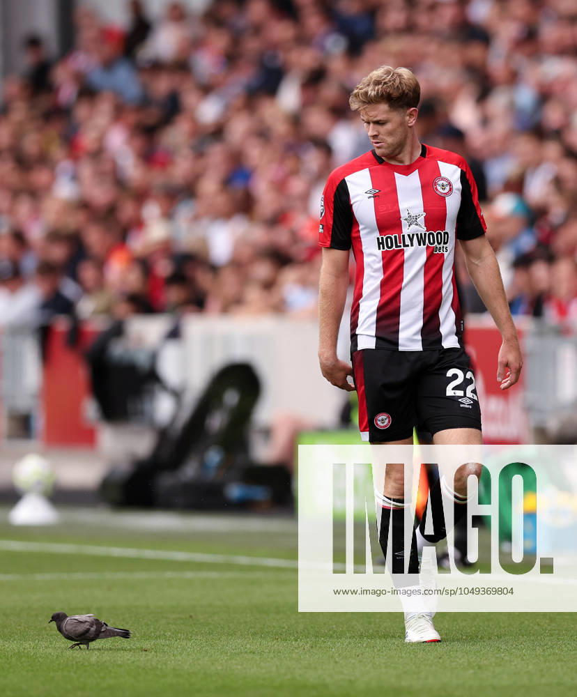 London, England, 31st August 2024. Brentford s Nathan Collins tries to get a pigeon off the pitch during the Premier League match at Gtech Community Stadium, London. Picture credit should read: David Klein Sportimage . SPI-3288-0021