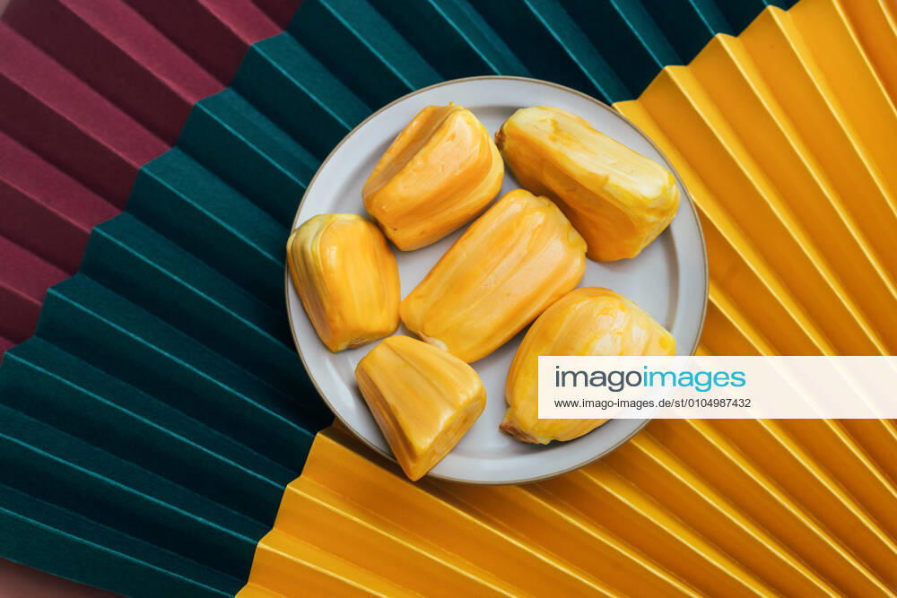 Commercial minimalist style jackfruit material 815388296987934770