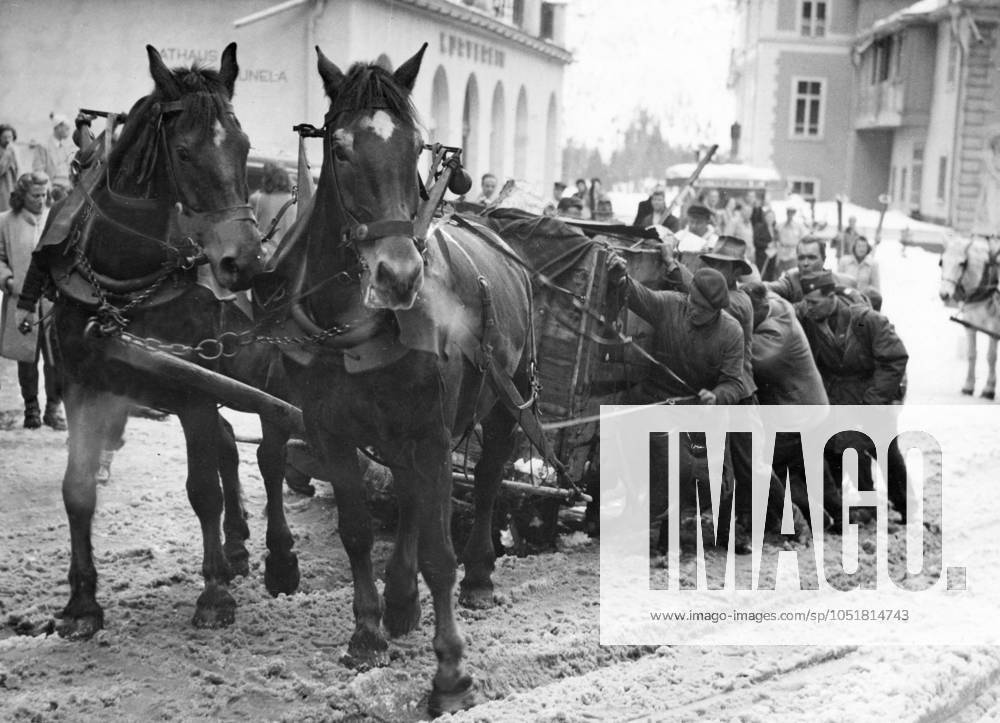 SWITZERLAND SAINT MORITZ 1948 02 06 The sharp increase in temperature has transformed the streets of St Moritz to flowing spring streams during the Olympic Winter Games in 1948 The already hard tested horses of the Olympic city are extra skilful on the soapy slopes Sankt Moritz Switzerland OS sp sw