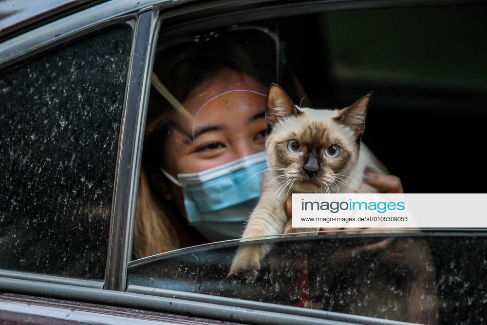 (201004) -- MANILA, Oct. 4, 2020 -- A pet cat is seen inside a car during a drive-thru pet blessing in Manila, the Philippines on Oct. 4, 2020. The drive-thru pet blessing is held amid the COVID-19 pandemic to celebrate the annual World Animal Day which is observed every Oct. 4. ) PHILIPPINES-MANILA-WORLD ANIMAL DAY-DRIVE-THRU PET BLESSING ROUELLExUMALI