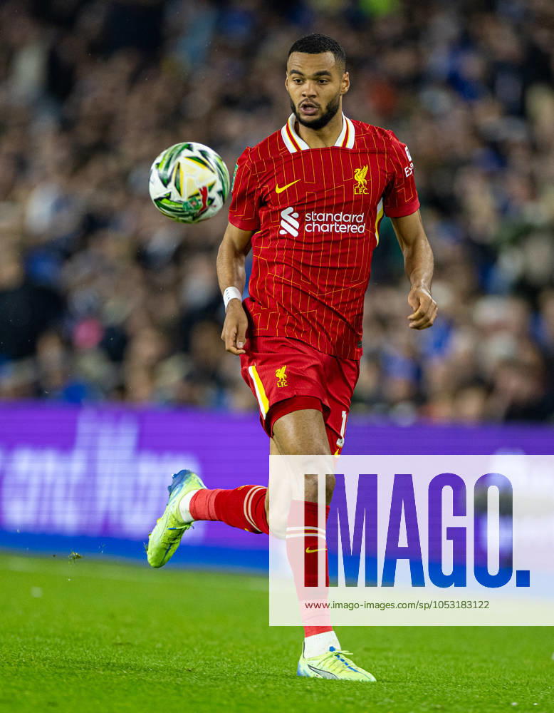 Football - Football League Cup - 4th Round - Brighton & Hove Albion FC v Liverpool FC BRIGHTON & HOVE, ENGLAND - Wednesday, October 30, 2024: Liverpool s Cody Gakpo during the Football League Cup 4th Round match between Brighton & Hove Albion FC and Liverpool FC at the AMEX Community Stadium. (Photo by David Rawcliffe Propaganda) BRIGHTON & HOVE AMEX Community Stadium EAST SUSSEX ENGLAND