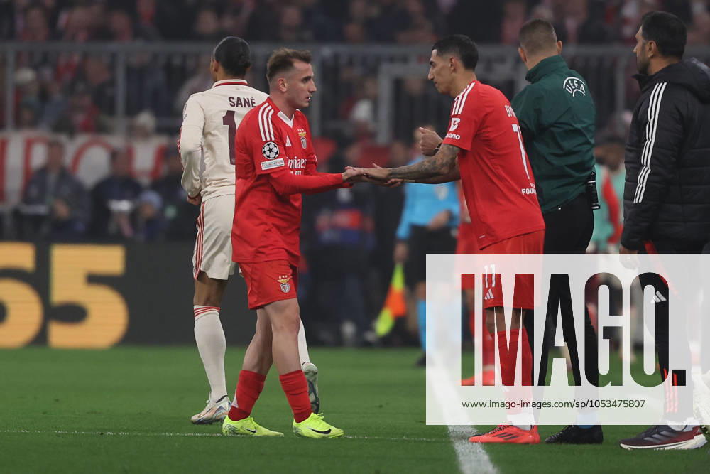 Munich, Alianz Arena UEFA Champions League 2024 25 on 6 11 2024 Matchday 4 FC Bayern Munich SL Benfica v l , substitution for Kerem Aktürkoglu S L Benfica , comes Angel di Maria S L Benfica