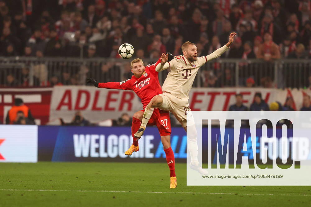 Munich, Alianz Arena UEFA Champions League 2024 25 am 6 11 2024 Matchday 4 FC Bayern München SL Benfica v l , Jan Niklas Beste S L Benfica , Konrad Laimer FC Bayern München Zweikampf, Action, Aktion, Battles for the Ball