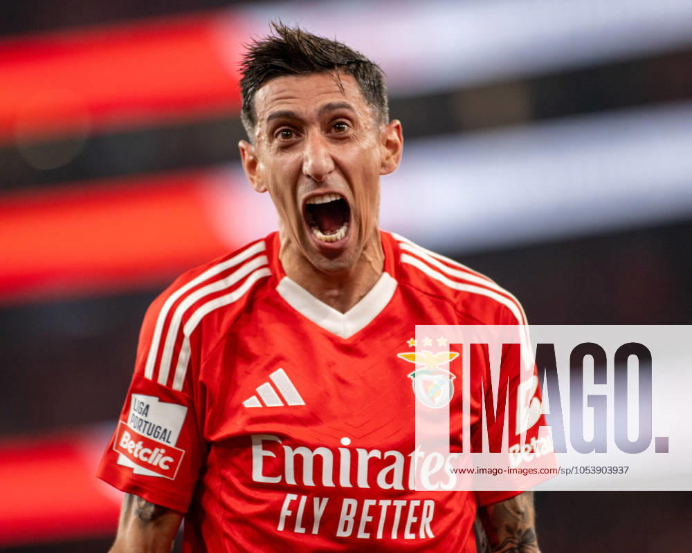 ANGEL DI MARIA from SL Benfica seen celebrating his goal from SL Benfica during the Liga Portugal Betclic 2024 25 match between SL Benfica and FC Porto at Estadio da Luz on November 10, 2024 in Lisboa, Portugal. Final score: SL Benfica 4:1 FC Porto Lisbon Portugal Lisboa Portugal - ZUMA Bet 20241110_spo_l192_005