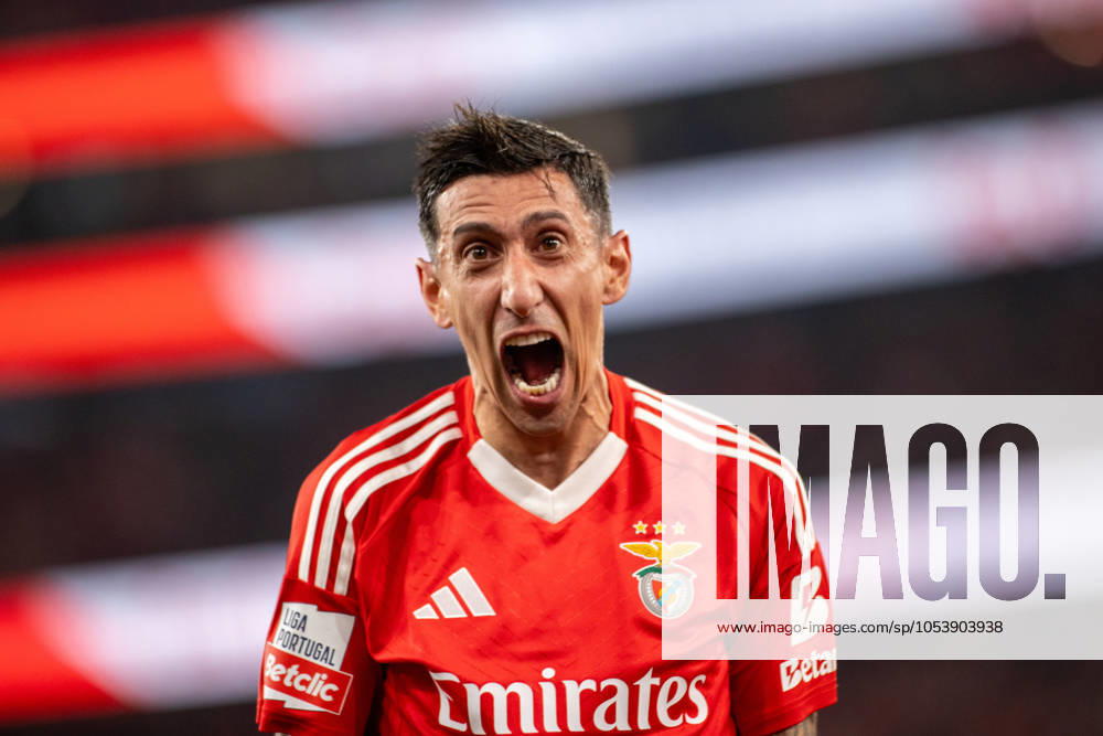 ANGEL DI MARIA from SL Benfica seen celebrating his goal from SL Benfica during the Liga Portugal Betclic 2024 25 match between SL Benfica and FC Porto at Estadio da Luz on November 10, 2024 in Lisboa, Portugal. Final score: SL Benfica 4:1 FC Porto Lisbon Portugal Lisboa Portugal - ZUMA Bet 20241110_spo_l192_006