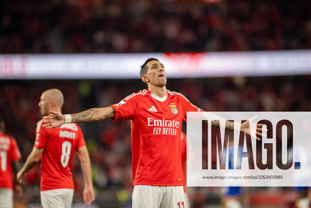 ANGEL DI MARIA from SL Benfica seen celebrating his first goal during the Liga Portugal Betclic 2024 25 match between SL Benfica and FC Porto at Estadio da Luz on November 10, 2024 in Lisboa, Portugal. Final score: SL Benfica 4:1 FC Porto Lisbon Portugal Lisboa Portugal - ZUMA Bet 20241110_spo_l192_017