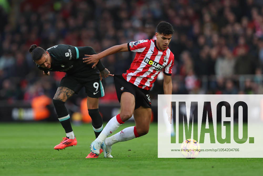 Football - 2024 2025 Premier League - Southampton vs Liverpool - St Marys Stadium - Sunday 24th November 2024 Mateus Fernandes of Southampton and Darwin Nunez of Liverpool in action during the Premier League match at St Marys Stadium COLORSPORT Shaun Boggust