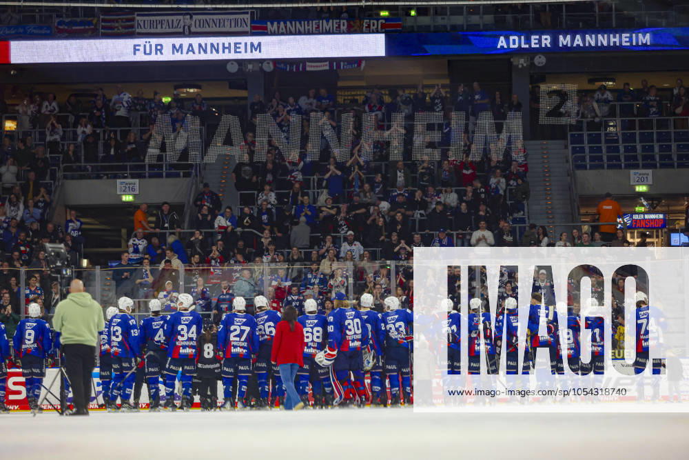 Adler Mannheim against Iserlohn Roosters The Adler Mannheim team celebrates after the victory on matchday 20 of the DEL Eishockey Bundesliga between Adler Mannheim and the Iserlohn Roosters at the SAP Arena Mannheim Photo by Kadir Caliskan