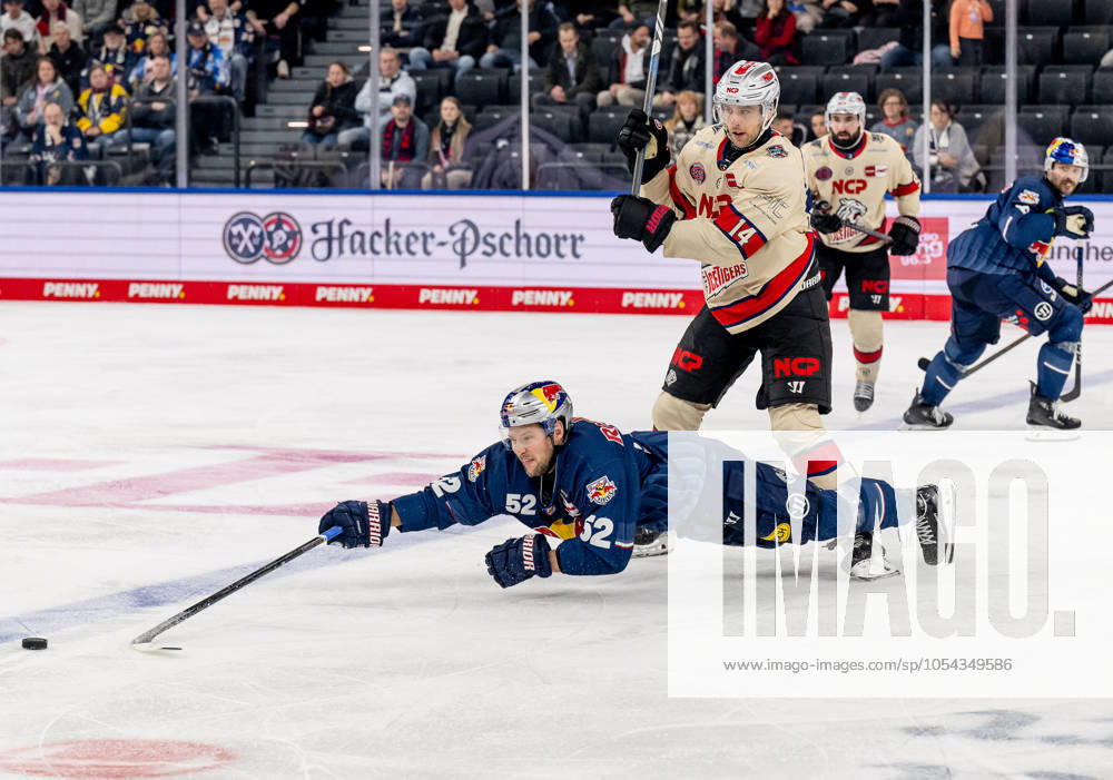 Battle for the puck duel between Cole Maier Nuernberg Ice Tigers, 14 and Patrick Hager EHC Red Bull Muenchen, 52 GER, EHC Red Bull Muenchen vs Nuernberg Ice Tigers, Ice Hockey, DEL, Matchday 21, Season 2024 2025, 28 11 2024 GER, EHC Red Bull Muenchen vs Nuernberg Ice Tigers, Ice Hockey, DEL, Matchday 21, Season 2024 2025, 28 11 2024 Muenchen