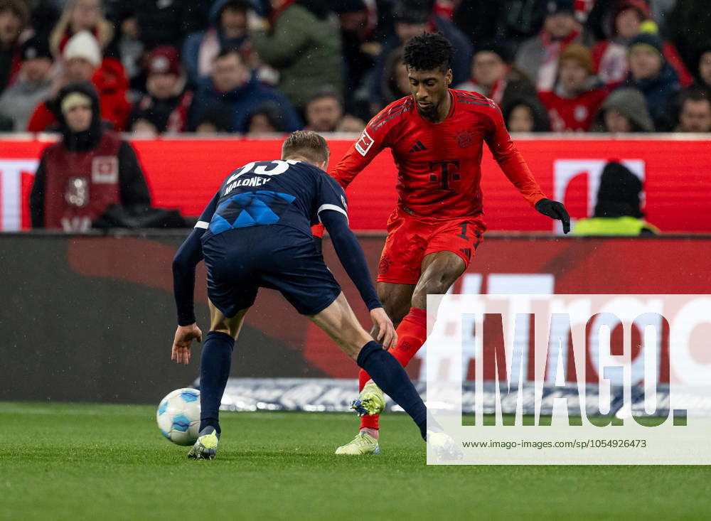 Fight for the ball duel between Lennard Maloney 1 FC Heidenheim 1846, 33 and Kingsley Coman FC Bayern Muenchen, 11 GER, FC Bayern Muenchen vs 1 FC Heidenheim 1846, Football, Bundesliga, Matchday 13, Season 2024 2025, 07 12 2024 GER, FC Bayern Muenchen vs 1 FC Heidenheim 1846, Football, Bundesliga, Matchday 13, Season 2024 2025, 07 12 2024 Muenchen