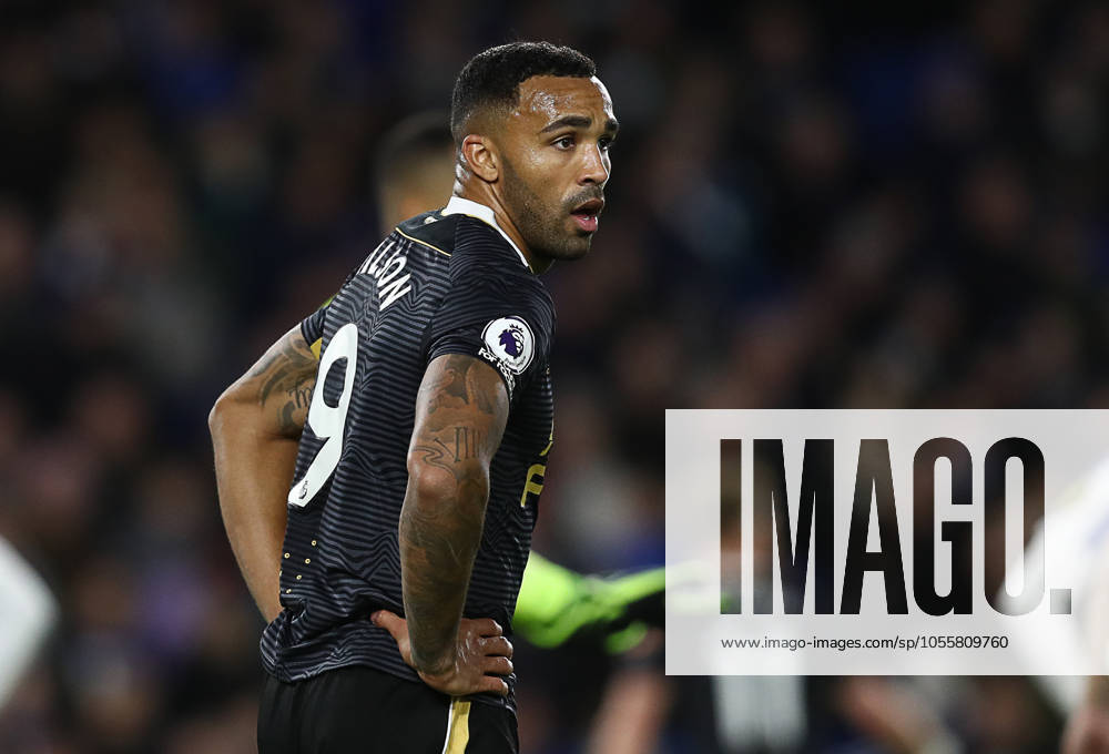 Brighton and Hove Albion v Newcastle United - Premier League - AMEX Stadium November 6, 2021, Brighton and Hove, United Kingdom: Brighton and Hove, England, 6th November 2021. Callum Wilson of Newcastle United during the Premier League match at the AMEX Stadium, Brighton and Hove. Picture credit should read: Paul Terry Sportimage Brighton and Hove United Kingdom