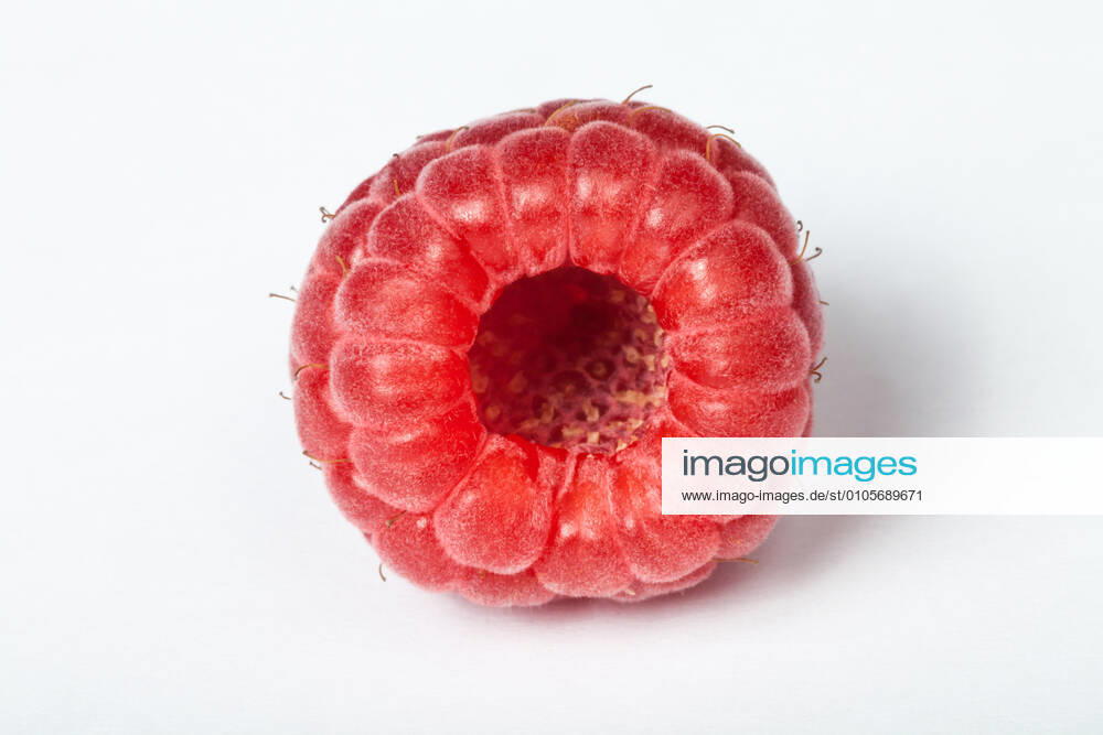 Raspberry close up