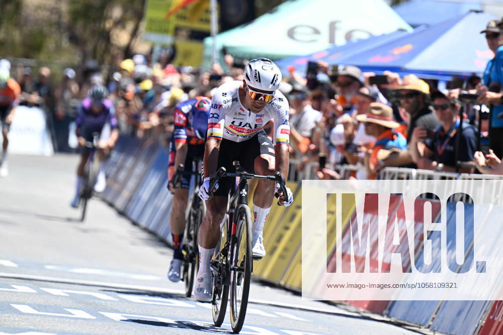 Tour Down Under; Tappa 05 Mclaren Vale - Willunga Hill; 2025, Uae Team Emirates - Xrg; Narvaez, Jhonnatan; Willunga Hill;